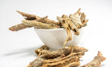 కోవిడ్ మహమ్మారి సమయంలో ఆయుర్వేదం ప్రాముఖ్యతను సంతరించుకుంది