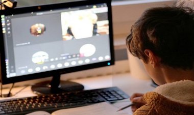 భారతదేశంలో ఆన్‌లైన్ లెర్నింగ్ సంస్థాగతీకరించబడింది